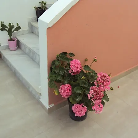 Bella Sant Perissa (Santorini)